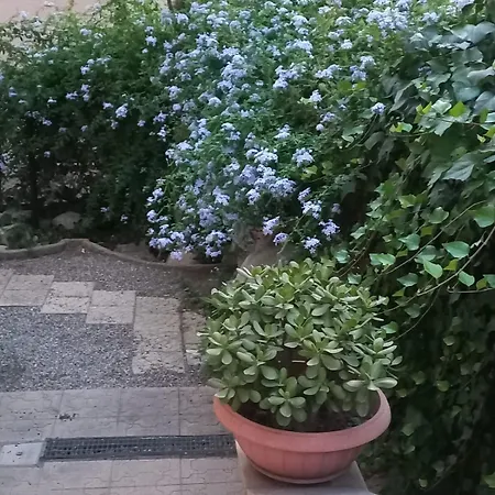 A Casa Di Teta Apartment