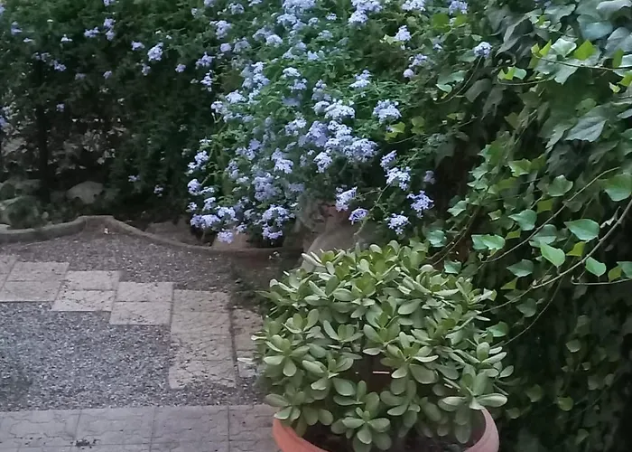 A Casa Di Teta דירה